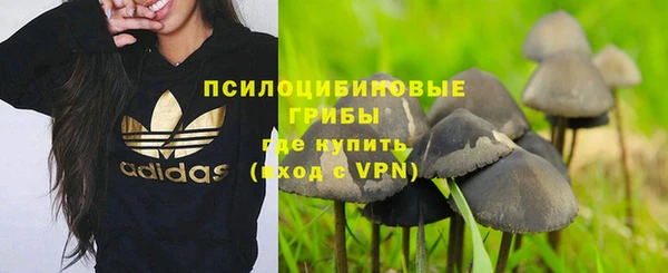 кокаин Белокуриха