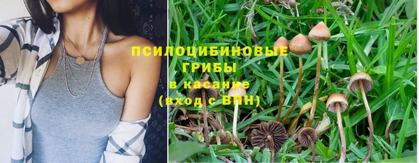 кокаин Белокуриха